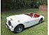 1959 Austin-Healey 3000